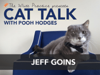 Cat Talk with Jeff Goins