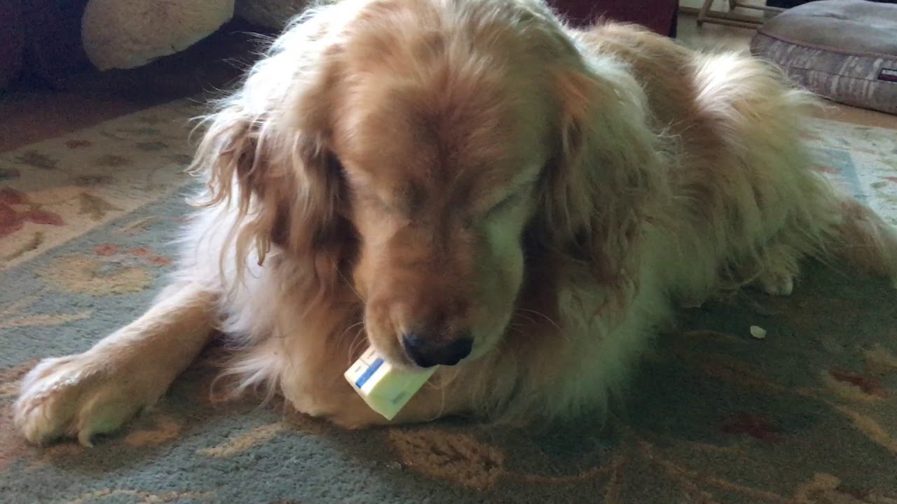 Annie and the stick of butter