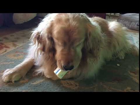 Annie and the stick of butter