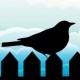 Wren Writer