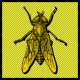 Gabriel Gadfly