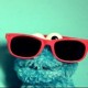 Cookie Monster