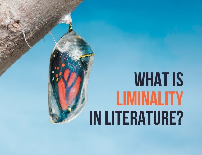 What Is Liminality in Literature?