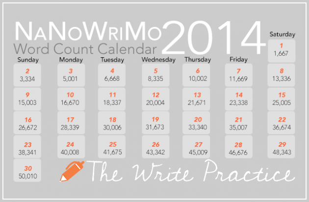 12 Thoughts On Nanowrimo