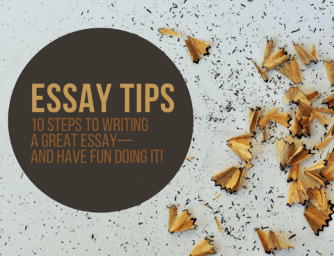 how to write an essay for fun