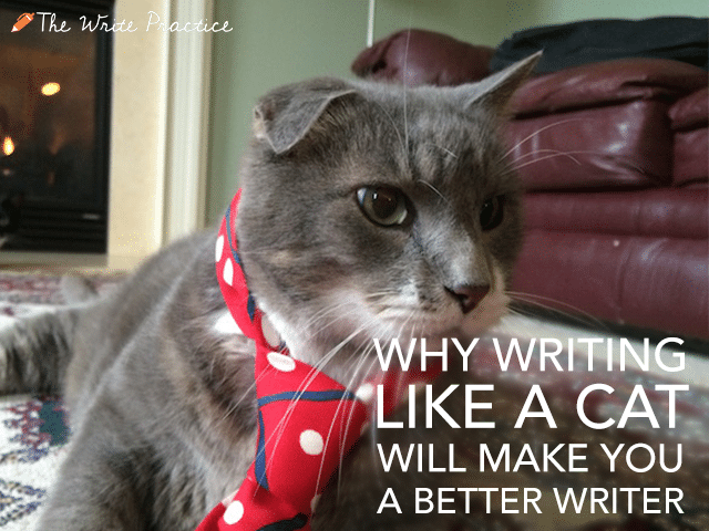 https://thewritepractice.com/wp-content/uploads/2014/12/Write-Like-a-Cat.png