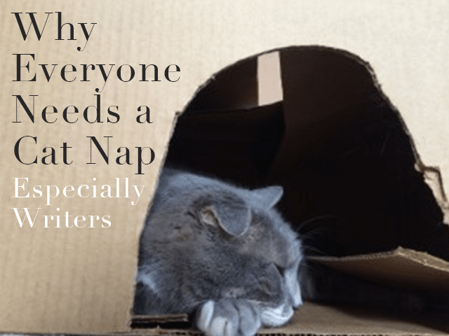 Why Everyone Needs a Cat Nap—Especially Writers