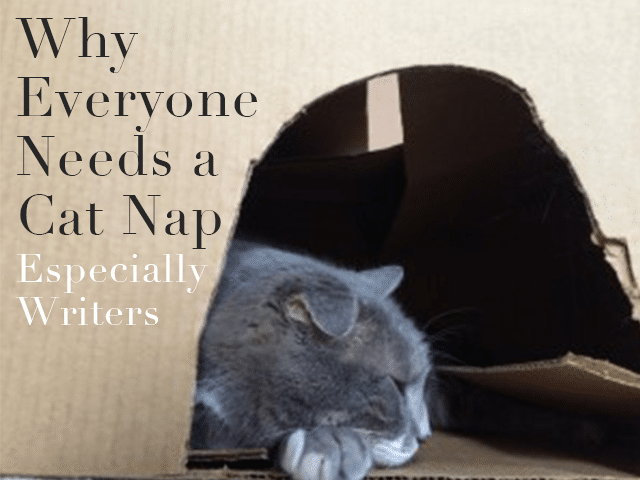 Cat Nap Benefits and Guide