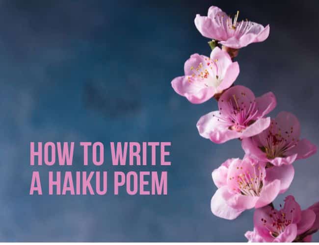 Pink cherry blossoms on blue background with pink title "How to Write a Haiku Poem"