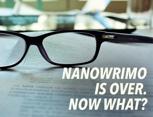 NaNoWriMo Is Over. Now What?