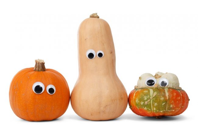 googly-eyed squashes