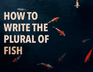 Plural of Fish: How to Correctly Write Fish in Your Stories