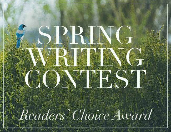 Vote for the Winner of the Spring Writing Contest