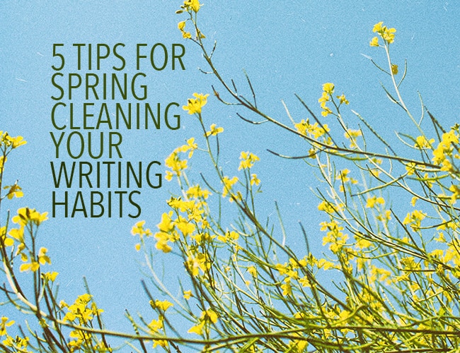 5 Tips for Spring Cleaning Your Writing Habits