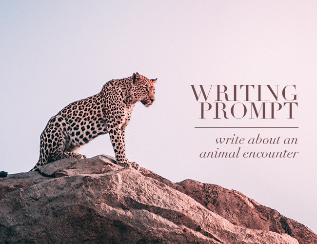 Writing Prompt: Write About an Animal Encounter