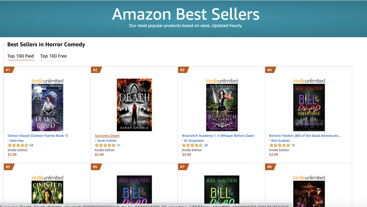 Why We Didn't Hit #1 Bestseller on Amazon (and Lessons Learned)