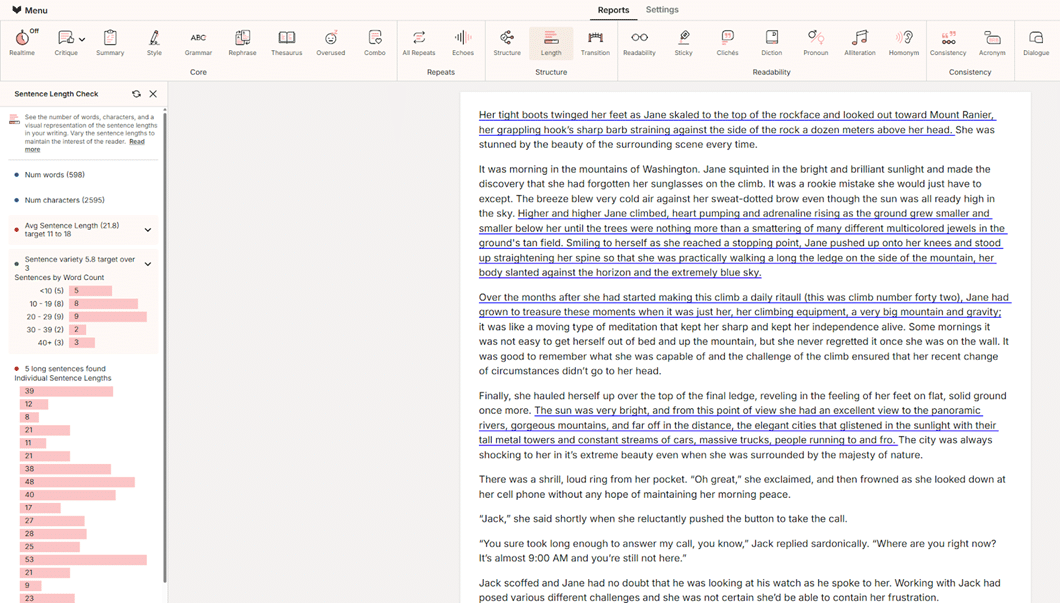 ProWritingAid Review Picture 4 by The Write Practice