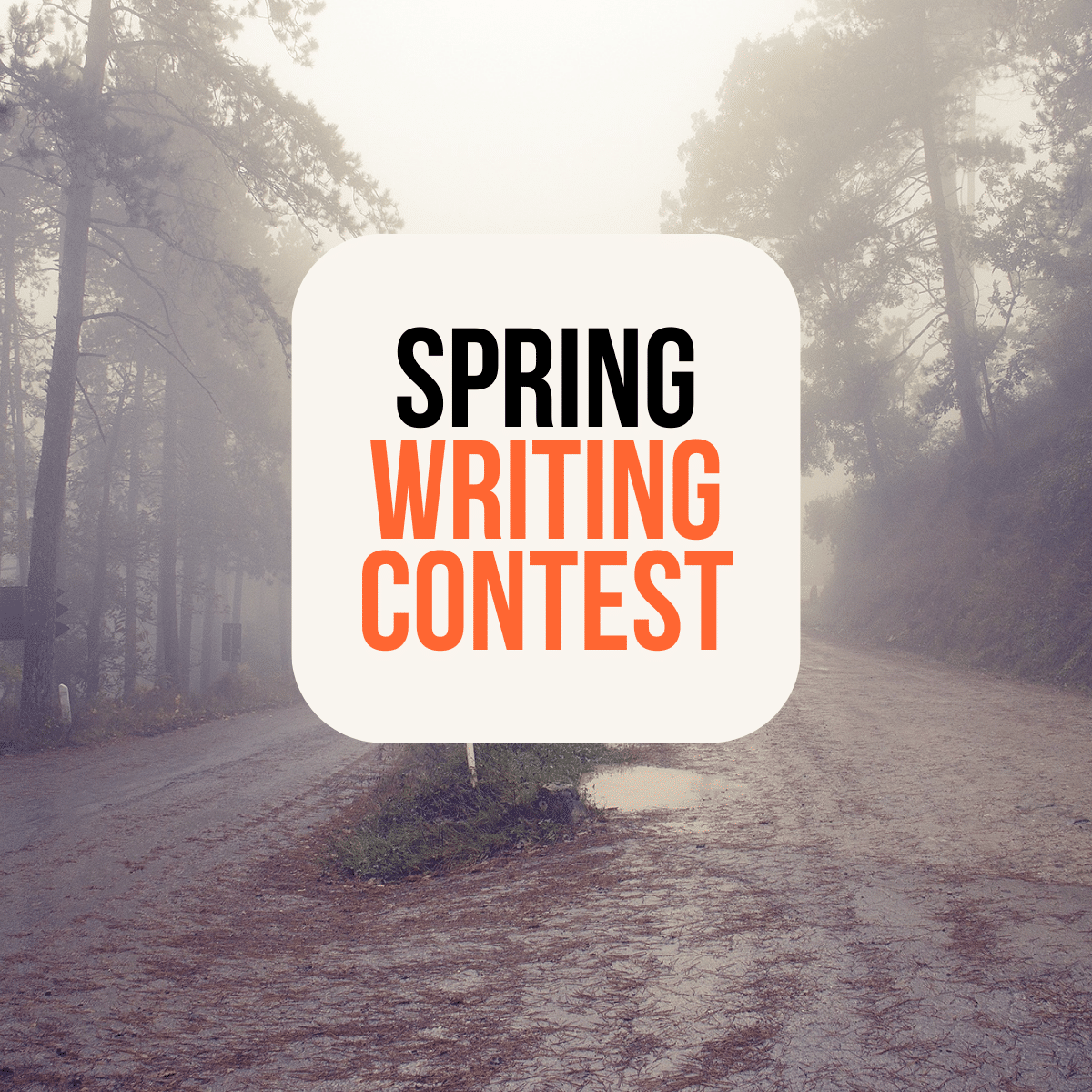 Spring Writing Contest 2024
