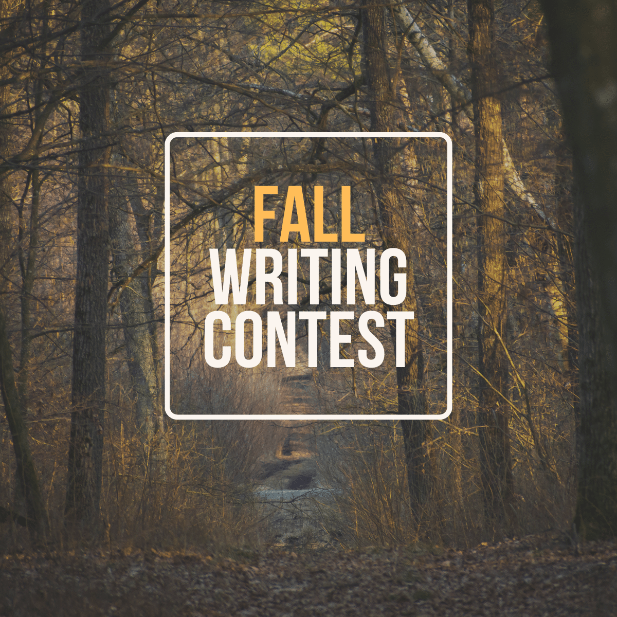 Fall Writing Contest 2024