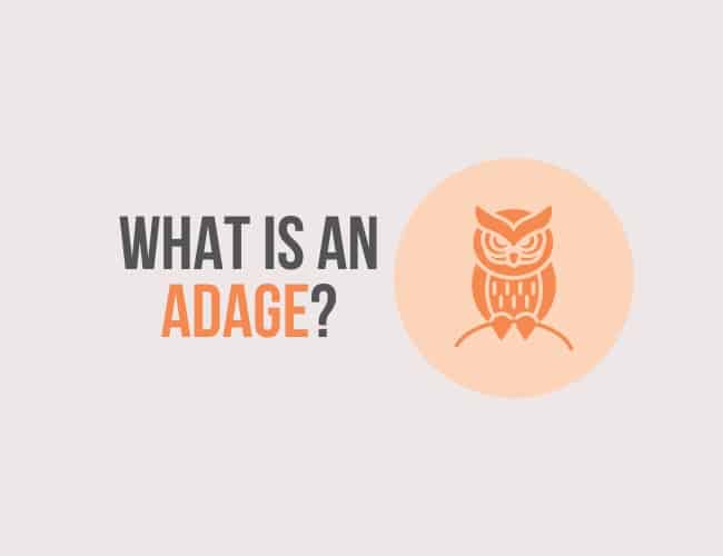 What is an Adage?