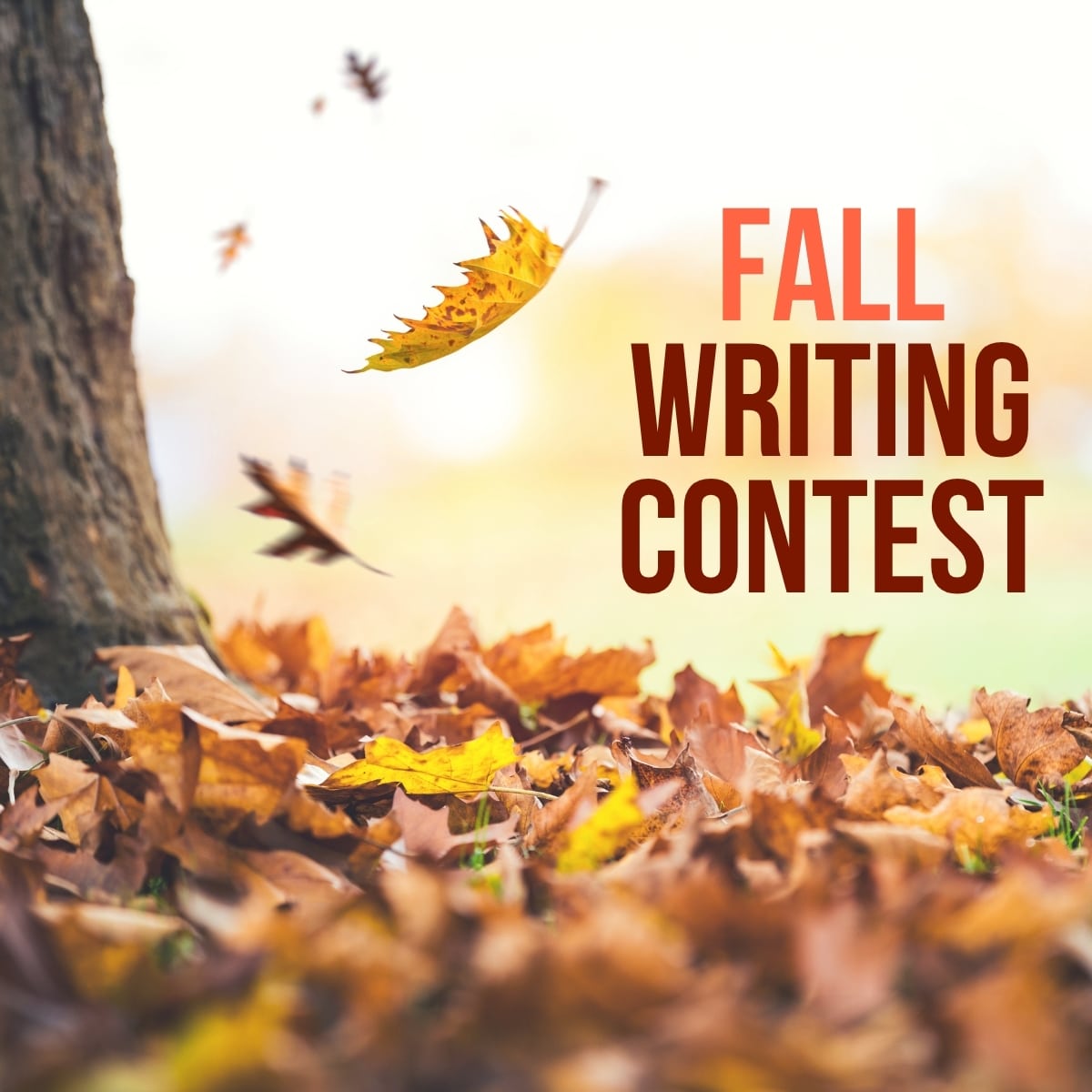 2025 Fall Writing Contest The Write Practice 2025 Fall Writing Contest The Write Practice